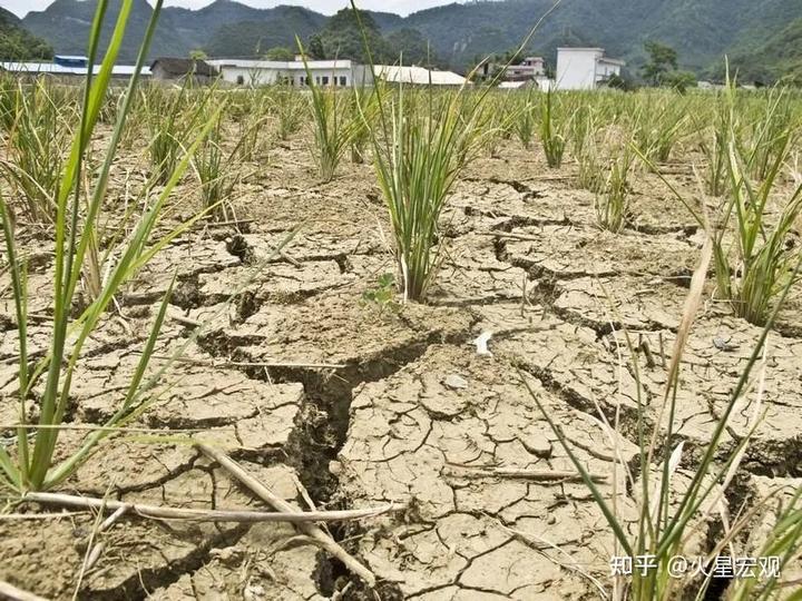 淮南天气预报 长江干枯，旱情告急，长江流域4亿人正在遭受罕见的高温干旱灾情