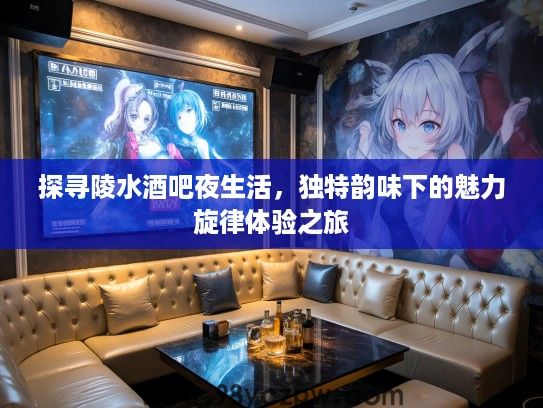 探寻陵水酒吧夜生活，独特韵味下的魅力旋律体验之旅