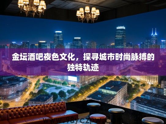 金坛酒吧夜色文化，探寻城市时尚脉搏的独特轨迹