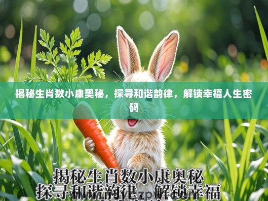 揭秘生肖数小康奥秘，探寻和谐韵律，解锁幸福人生密码