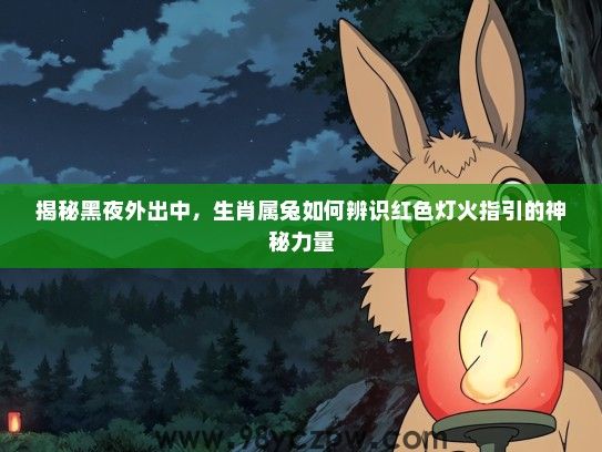 揭秘黑夜外出中，生肖属兔如何辨识红色灯火指引的神秘力量