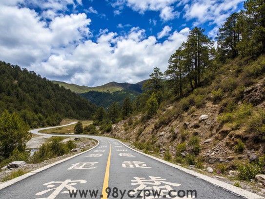 坎坷道路二难回，生肖合八特马揭秘，探寻生肖八合的神秘与好运