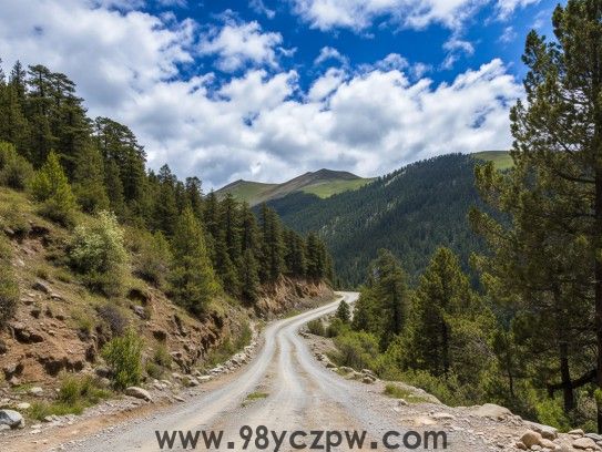 坎坷道路二难回，生肖合八特马揭秘，探寻生肖八合的神秘与好运