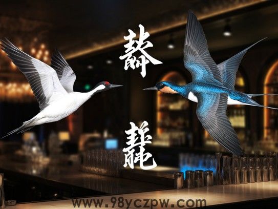 生肖探寻，社燕秋鸿象征，解密鸿雁北归、社燕南飞成语深意
