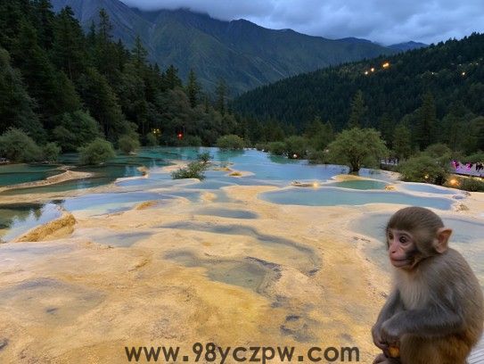 二四彩池金银映，小猴静候果熟时，揭秘成语‘金猴跃池，果熟猴来’中的生肖之谜