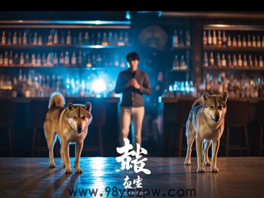 劳而不怨步履不停，一双又一双，勤劳生肖展现成语魅力