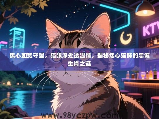 焦心如焚守望，猫眼深处透温情，揭秘焦心猫咪的忠诚生肖之谜