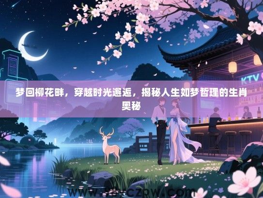 梦回柳花畔，穿越时光邂逅，揭秘人生如梦哲理的生肖奥秘