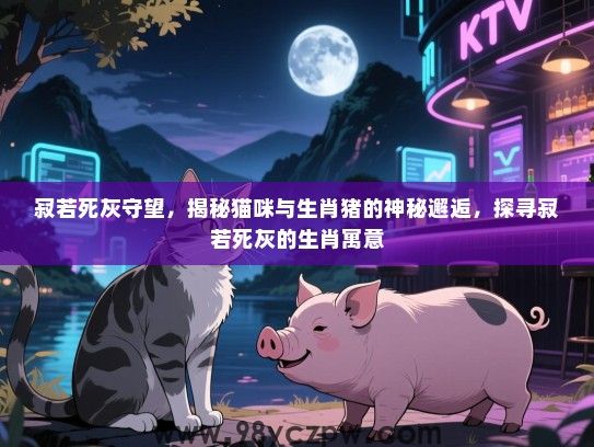 寂若死灰守望，揭秘猫咪与生肖猪的神秘邂逅，探寻寂若死灰的生肖寓意