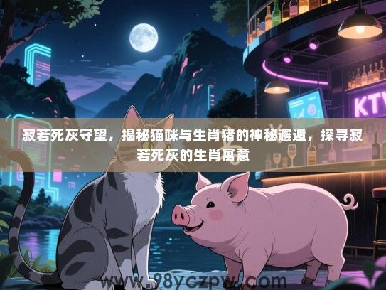 寂若死灰守望，揭秘猫咪与生肖猪的神秘邂逅，探寻寂若死灰的生肖寓意