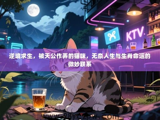 逆境求生，被天公作弄的猫咪，无奈人生与生肖命运的微妙联系