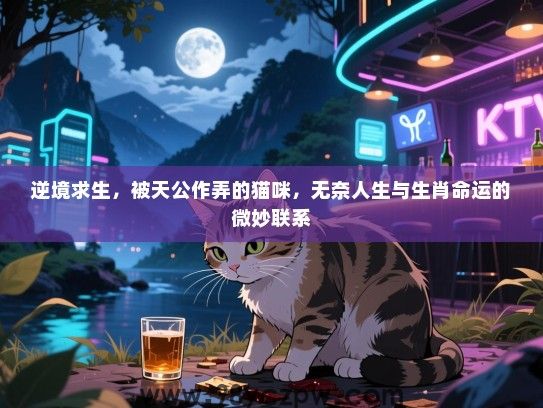 逆境求生，被天公作弄的猫咪，无奈人生与生肖命运的微妙联系