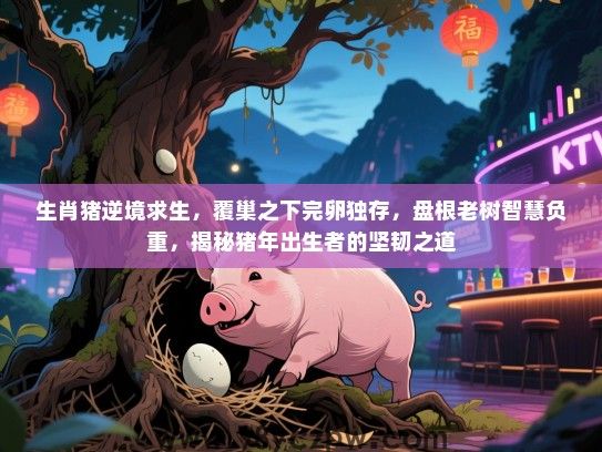 生肖猪逆境求生，覆巢之下完卵独存，盘根老树智慧负重，揭秘猪年出生者的坚韧之道
