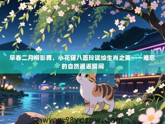 早春二月柳影舞，小花猫八面玲珑绘生肖之美——难忘的自然邂逅瞬间