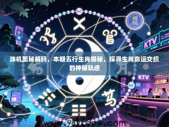 珠机奥秘解码，本期五行生肖揭秘，探寻生肖命运交织的神秘轨迹