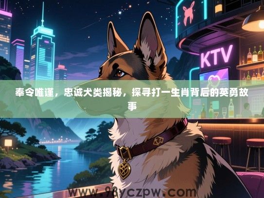 奉令唯谨，忠诚犬类揭秘，探寻打一生肖背后的英勇故事