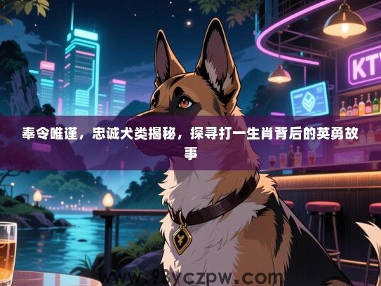 奉令唯谨，忠诚犬类揭秘，探寻打一生肖背后的英勇故事