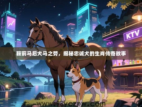 鞍前马后犬马之劳，揭秘忠诚犬的生肖传奇故事
