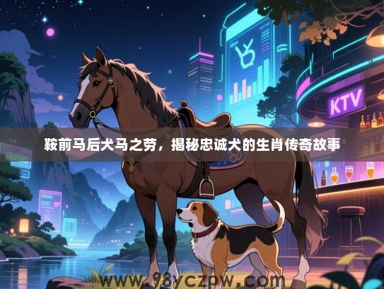 鞍前马后犬马之劳，揭秘忠诚犬的生肖传奇故事