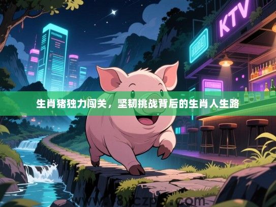 生肖猪独力闯关，坚韧挑战背后的生肖人生路