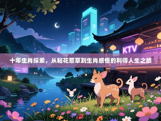 十年生肖探索，从粘花惹草到生肖感悟的利得人生之旅