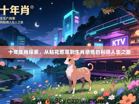 十年生肖探索，从粘花惹草到生肖感悟的利得人生之旅