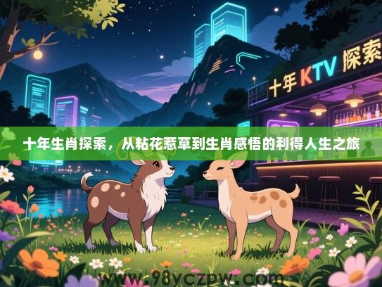 十年生肖探索，从粘花惹草到生肖感悟的利得人生之旅