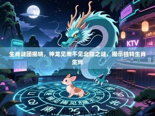 生肖谜团揭晓，神龙见南不见北指之谜，揭示独特生肖生肖