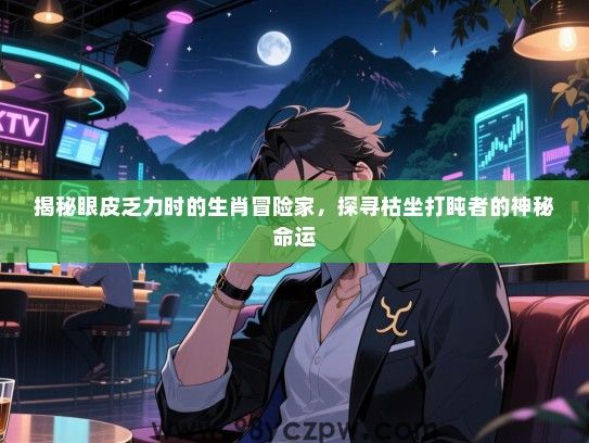 揭秘眼皮乏力时的生肖冒险家，探寻枯坐打盹者的神秘命运