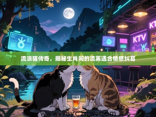 流浪猫传奇，揭秘生肖间的流离遇合情感纠葛
