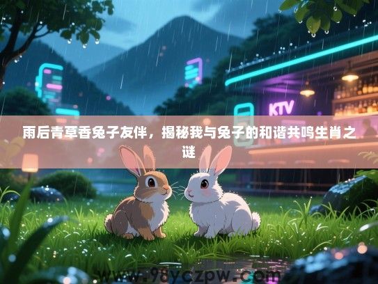 雨后青草香兔子友伴，揭秘我与兔子的和谐共鸣生肖之谜