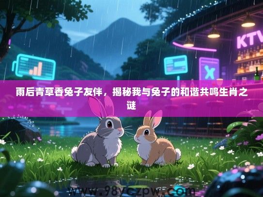 雨后青草香兔子友伴，揭秘我与兔子的和谐共鸣生肖之谜