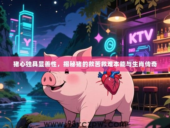 猪心独具显善性，揭秘猪的救苦救难本能与生肖传奇