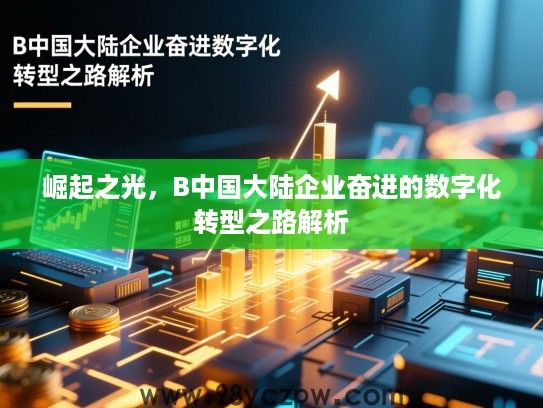 崛起之光,B中国大陆企业奋进的数字化转型之路解析 崛起之光,B中国大陆企业奋进的数字化转型之路解析