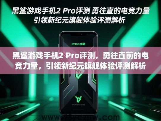 黑鲨游戏手机2 Pro评测,勇往直前的电竞力量,引领新纪元旗舰体验评测解析 黑鲨游戏手机2 Pro评测,勇往直前的电竞力量,引领新纪元旗舰体验评测解析