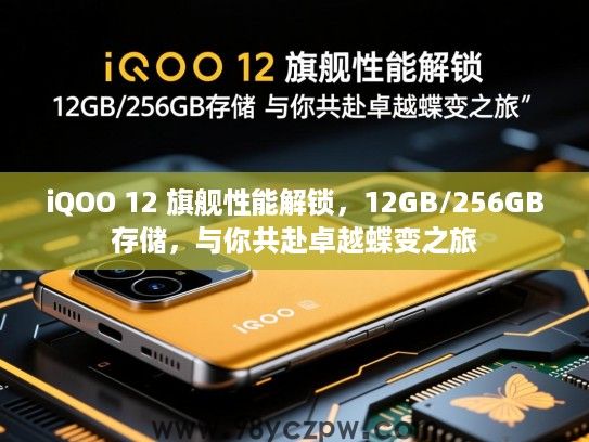 iQOO 12 旗舰性能解锁，12GB/256GB存储，与你共赴卓越蝶变之旅